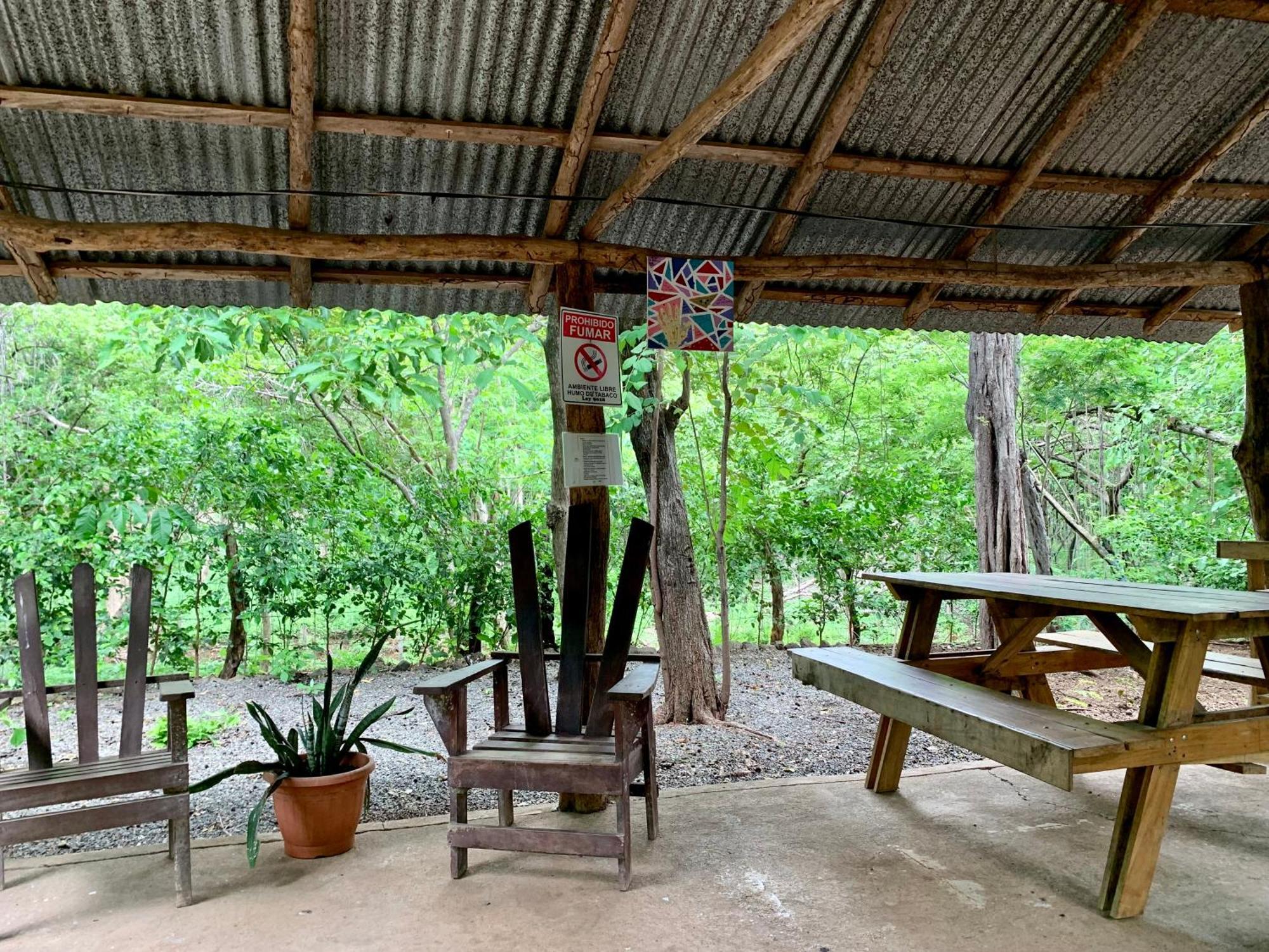 Nieves Surf Hostel And Camping Плая Авеляна Екстериор снимка